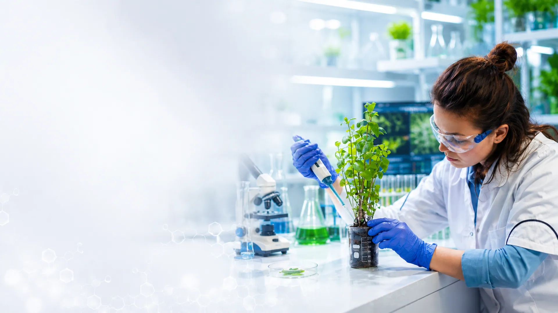 BIOTECHNOLOGY &